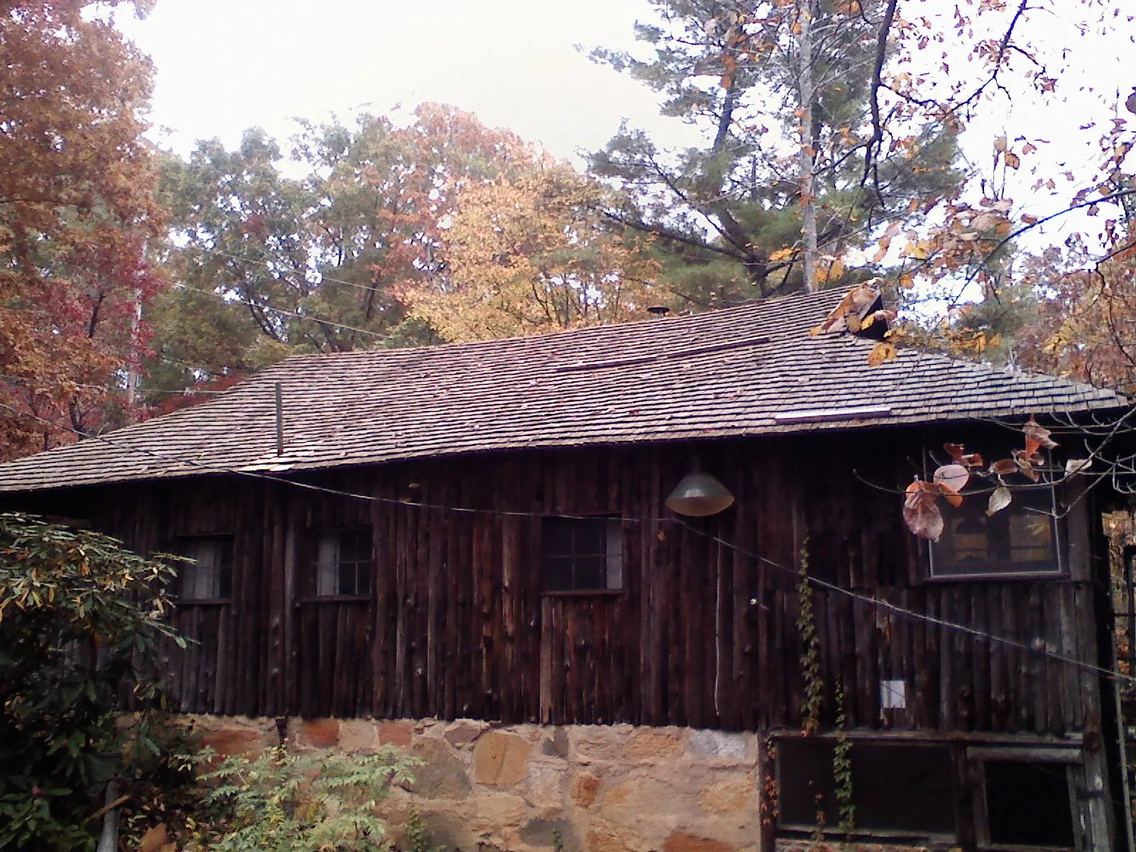 Weathered wood shake roof on a rustic board sided cabin in Burnham
